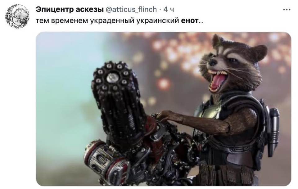 Raccoon theft. memes