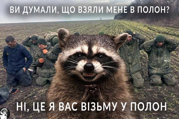 Russians stole a raccoon from the zoo