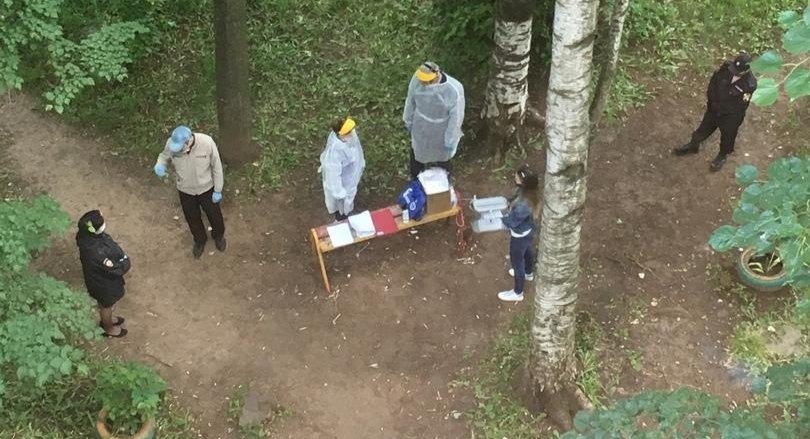 Voting in the forest