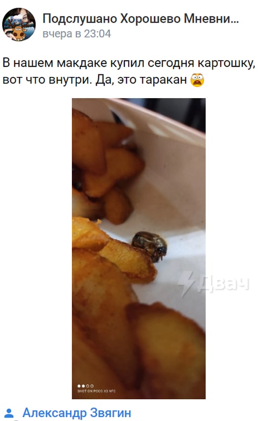Fried cockroach in potatoes. Tasty and period