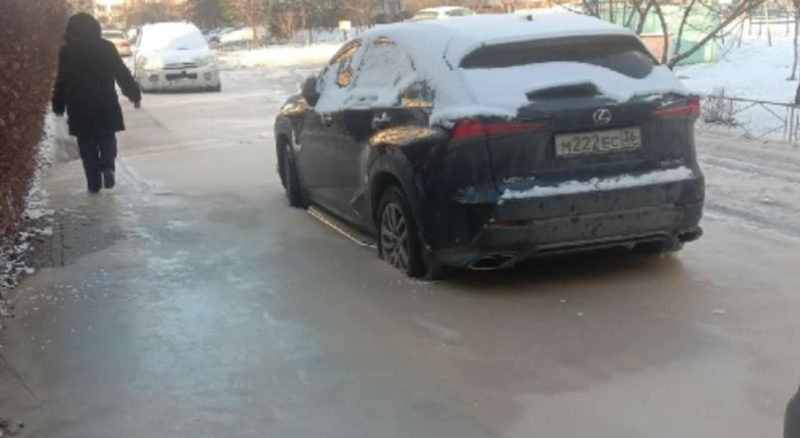Cars frozen in feces